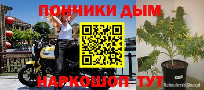 шишки Кулебаки